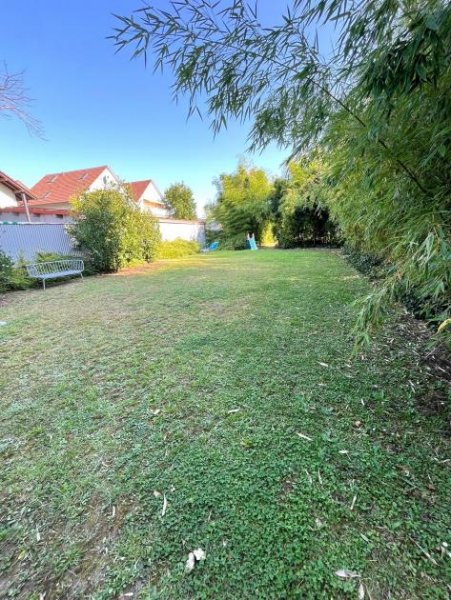Muggensturm Helles Appartement mit Stellplatz und Einbauküche Wohnung mieten