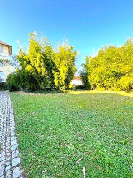 Muggensturm Loftwohnung: Mit Terrasse, Stellplatz und Gartenzugang Wohnung mieten