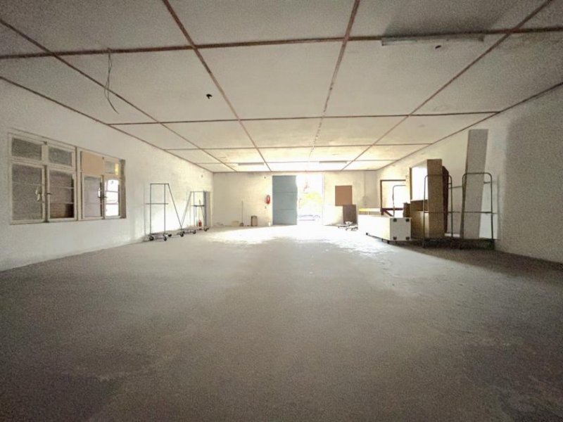 Steinmauern Platz ohne Ende: Trockenhalle mit Außenfläche, Stellplätzen und Laderampe Gewerbe mieten
