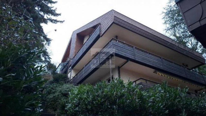Baden-Baden Einliegerwohnung in schöner Halbhöhenlage Wohnung mieten