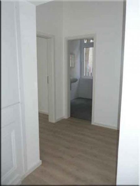 Baden-Baden Große 2 Zimmer Single EG Whg mit Neuer Küche und Eichhörnchen Egon Wohnung mieten