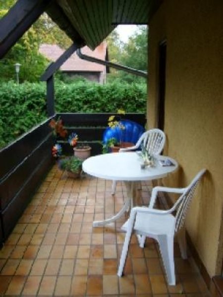 Gemütliche 2 Zimmer Wohnung in Wohnanlage Wohnung mieten