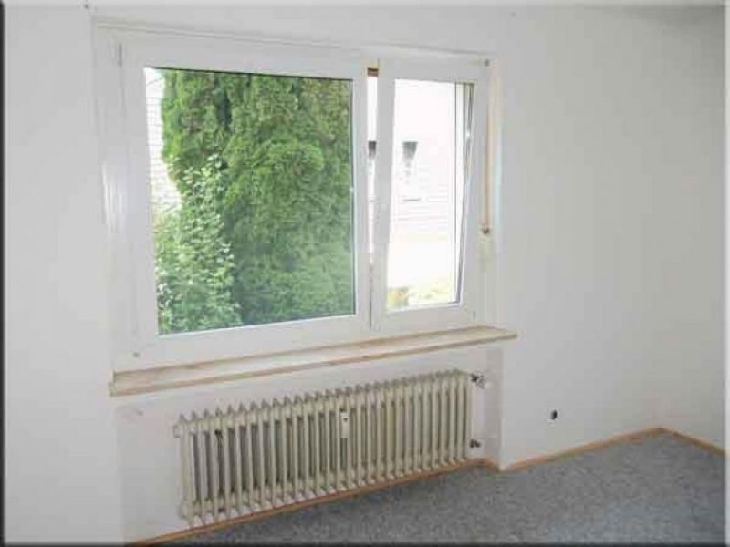 Triberg im Schwarzwald Haustiere erlaubt! Sonnige 3 Zimmer Whg mit Küche Riesen Sonnen Terrasse und top Ausblick Wohnung mieten