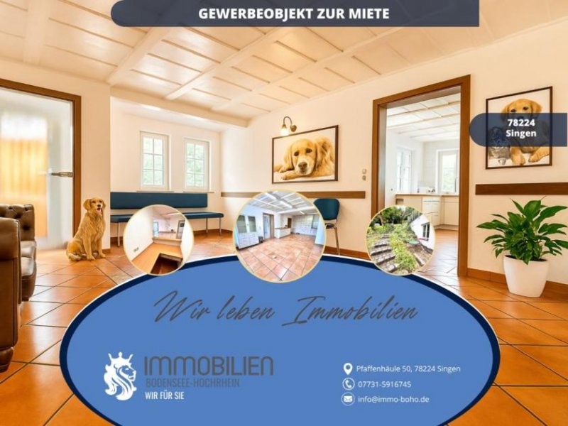 Singen (Hohentwiel) Praxis Ortsrand Singen mit 6 Räumen, 2 Eingängen & 8 Stellplätzen – Gewerberäume Gewerbe mieten