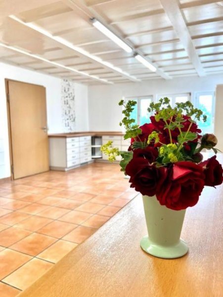 Singen (Hohentwiel) Praxis Ortsrand Singen mit 6 Räumen, 2 Eingängen & 8 Stellplätzen – Gewerberäume Gewerbe mieten