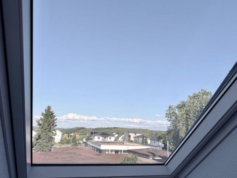 Endingen am Kaiserstuhl Neubauwohnung mit Einbauküche und Wohnraum im Speicher Wohnung mieten