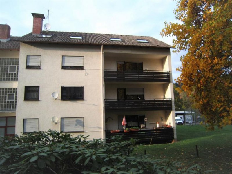 Kandern 3 Zi.-Wohnung/Loggia + KFZ-Stellpl. - KANDERN Wohnung mieten