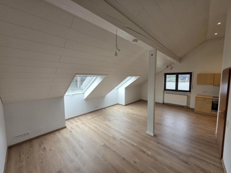 Schliengen Helle 3 Zi.-DG-Wohnung & KFZ-Pl. in Ortsrandlage Wohnung mieten