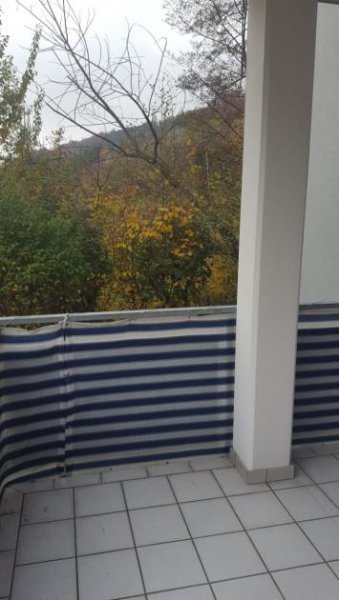 Waldshut-Tiengen Zwei Zimmer Wohnung Wohnung mieten