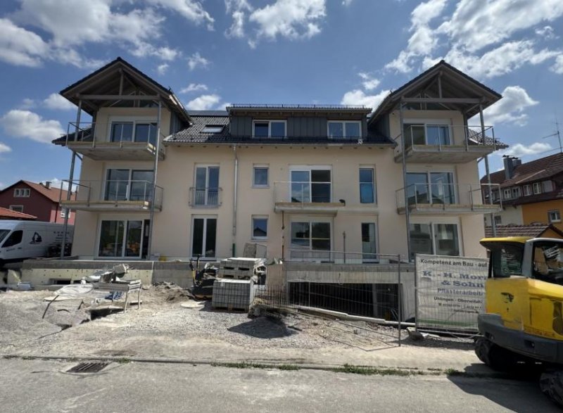 Lauchringen Erstbezug in Lauchringen: 3-Zi. EG mit Terrasse ca. 89 m² mit Lift zum 1.11.26 zu vermieten Wohnung mieten