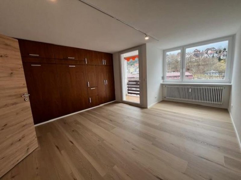 St. Blasien Hochwertig renovierte 1 Zimmerwohnung im Zentrum von St. Blasien Wohnung mieten