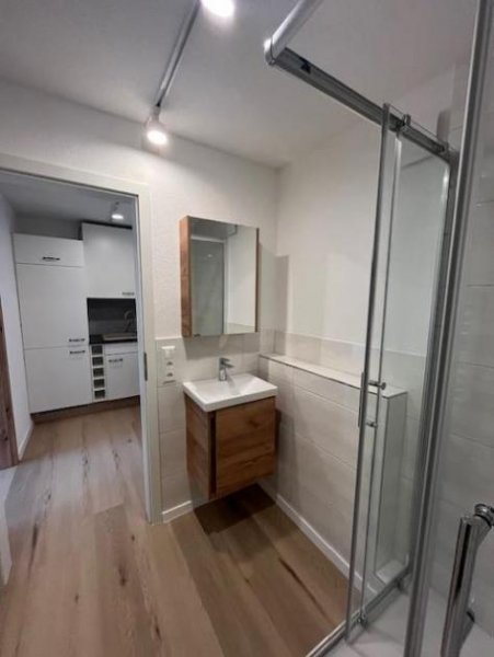 St. Blasien Hochwertig renovierte 1 Zimmerwohnung im Zentrum von St. Blasien Wohnung mieten