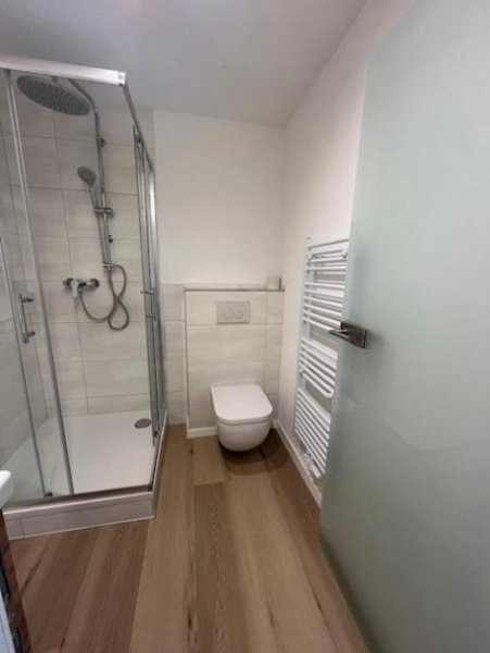 St. Blasien Hochwertig renovierte 1 Zimmerwohnung im Zentrum von St. Blasien Wohnung mieten