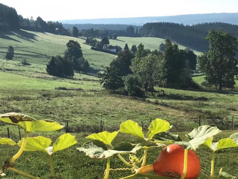Lenzkirch Mahamudra Wohnung mieten