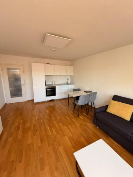München Wünderschöne 2-Zi. möblierte Wohnung mit Balkon Wohnung mieten