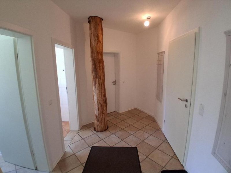 Wolnzach 2-Zimmer Erdgeschosswohnung mit Terrasse *provisionsfrei* *erlaubte Haustiere: Katze* Wohnung mieten