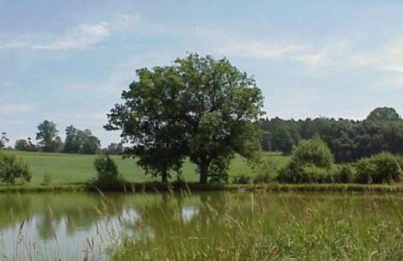 Freising VILLA DOLCE VITA - Serviced Apartments - temporary apartments - furnished flats Wohnung mieten