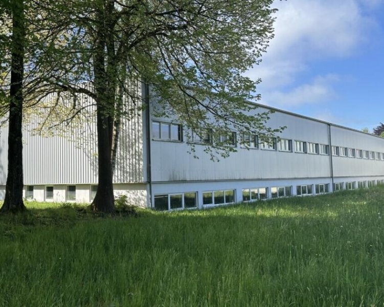 Leutkirch im Allgäu Attraktive Gewerbehallen zw. 675 und 4.990 m² mit top Infrastruktur in Leutkirch zu vermieten Gewerbe mieten