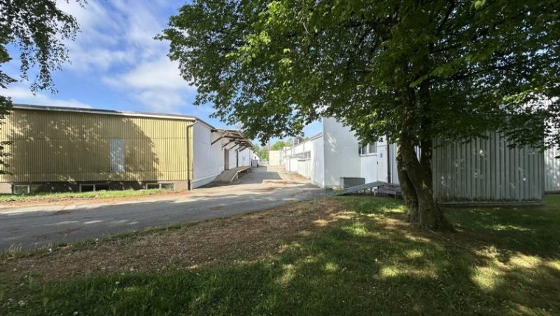 Leutkirch im Allgäu Attraktive Gewerbehallen zw. 675 und 4.990 m² mit top Infrastruktur in Leutkirch zu vermieten Gewerbe mieten