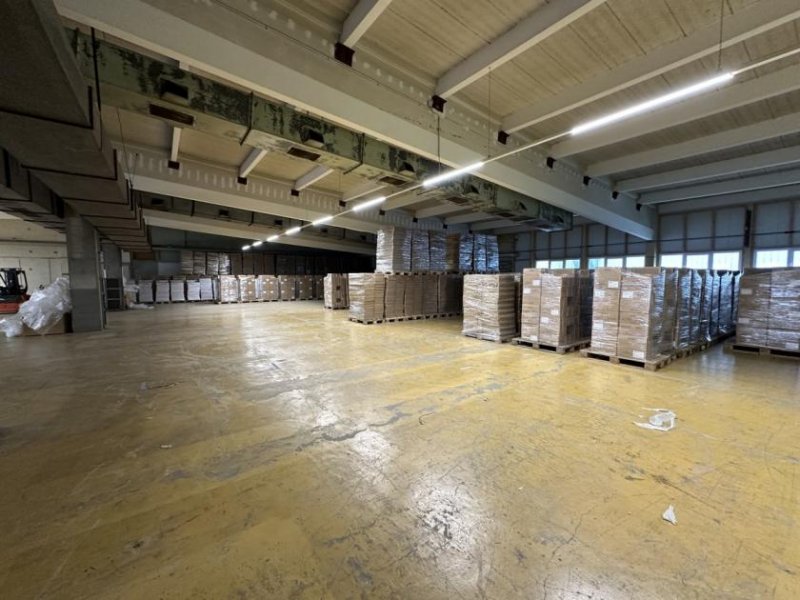 Leutkirch im Allgäu Attraktive Produktions-/Lagerhalle mit sehr guter Infrastruktur in Leutkirch i.A. mit ca. 1.250 m² Gewerbe mieten