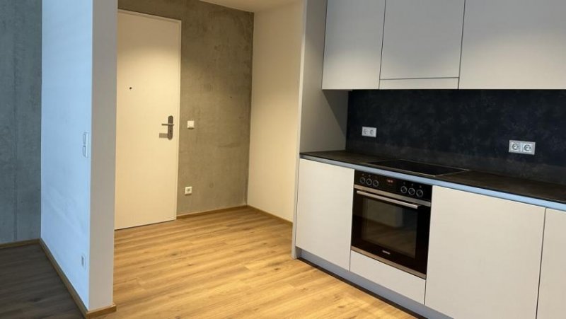 Leutkirch im Allgäu Hochwertige 2-Zi-Wohnung mit überdachter Terrasse in bester Lage von Leutkirch zu vermieten Wohnung mieten