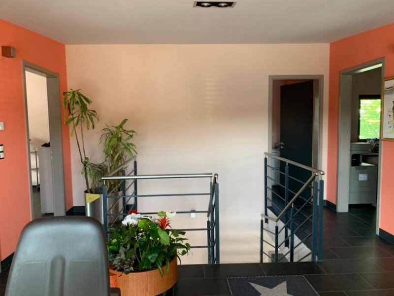 Neu-Ulm Gewerberäume, Ausstellung mit Büroräume in Neu-Ulm Stadtnahe Lage Gewerbe mieten