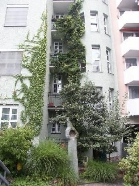 Nürnberg (Schoppershof) N-Schoppershof: 4-Zi-Jugendstil-Büro (3. OG oh. Lift) - PROVISIONSFREI Gewerbe mieten