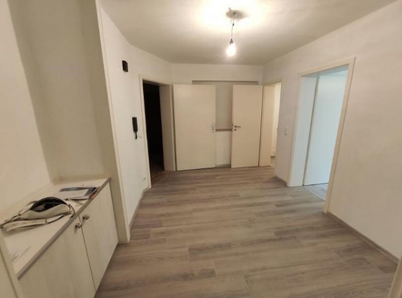 Weisendorf 2 Zi. Souterrain Wohnung mit Terrasse und Garten (optional) Wohnung mieten