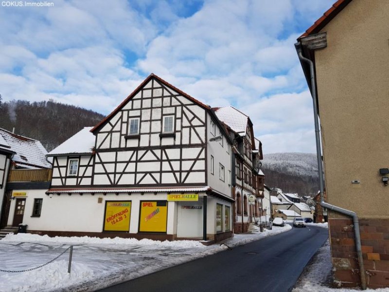 Steinbach-Hallenberg 3 ZKB Wohnung - mit wahlweise Stellplatz o. Garage Wohnung mieten