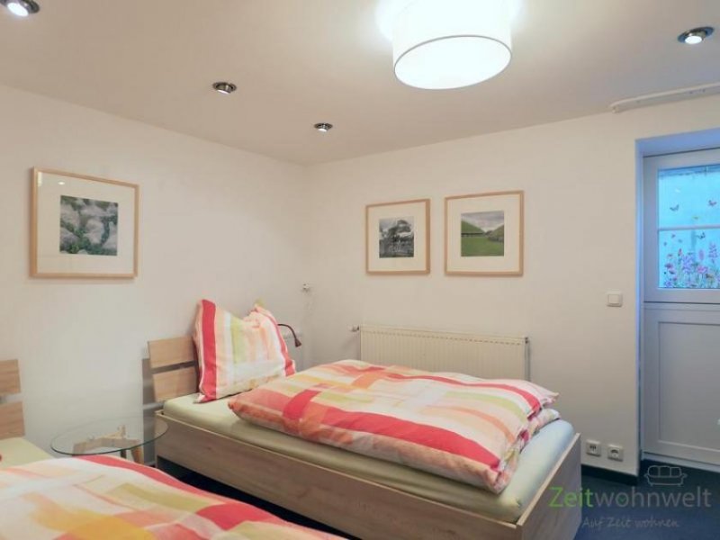 Erfurt (EF1315_M) Erfurt: Brühlervorstadt, kleines möbliertes 2-Zimmer-Apartment mit Terrasse, an Wochenendheimfahrer Wohnung mieten