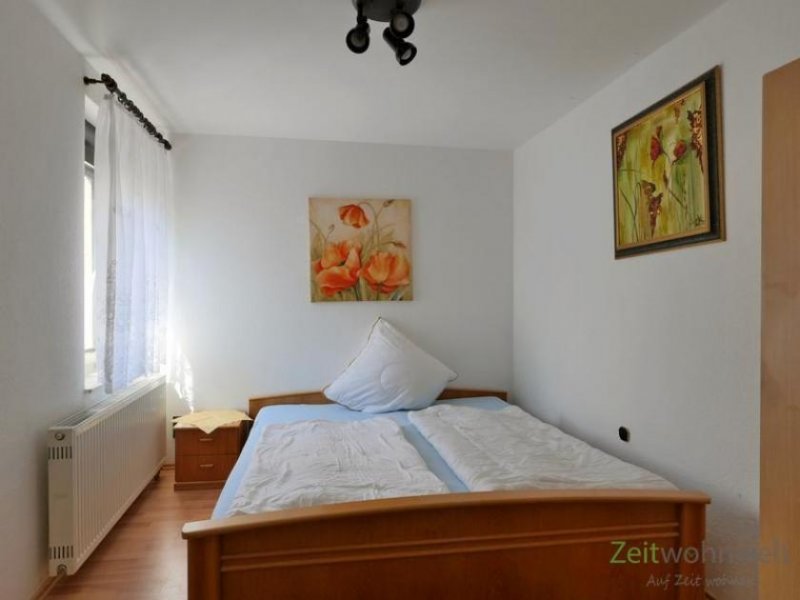 Ichtershausen (EF1308_M) Arnstadt: Amt Wachsenburg, preiswertes möbliertes 2-Zimmer-Apartment in ruhiger Wohnlage Wohnung mieten