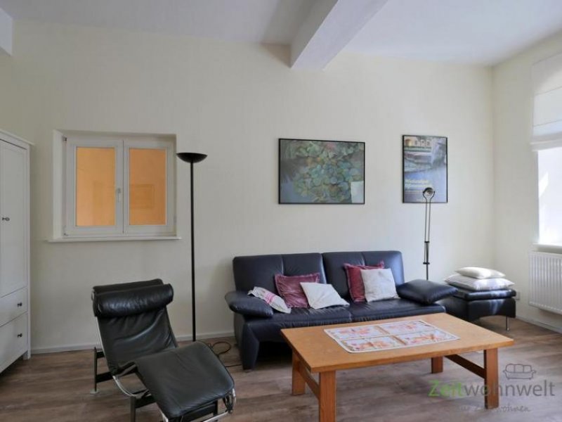 Apolda (EF1313_M) Weimar: Oßmannsstedt, großzügiges möbliertes Apartment mit Freisitz und PKW-Stellplatz Wohnung mieten