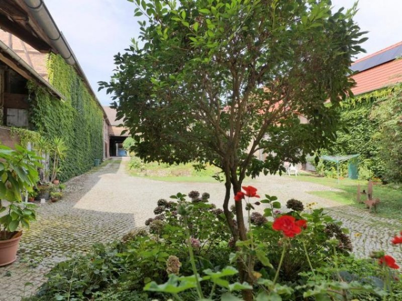 Apolda (EF1313_M) Weimar: Oßmannsstedt, großzügiges möbliertes Apartment mit Freisitz und PKW-Stellplatz Wohnung mieten