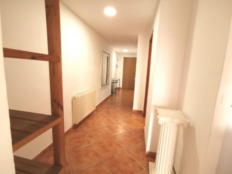 Paguera Apartment strandnah in Paguera Wohnung mieten