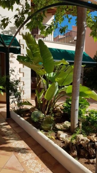 Porto Cristo Großes Chalet mit Meerblick in Porto Cristo Haus 