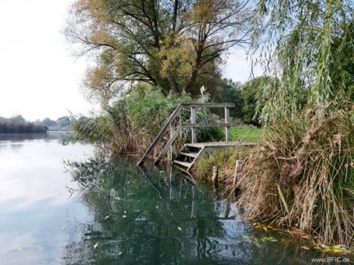 Malschwitz Gewerbe Immobilien Idyllischer Campingplatz in Sachsen am Olbasee - Kleinod mit großem, kernsaniertem Resthof Gewerbe kaufen