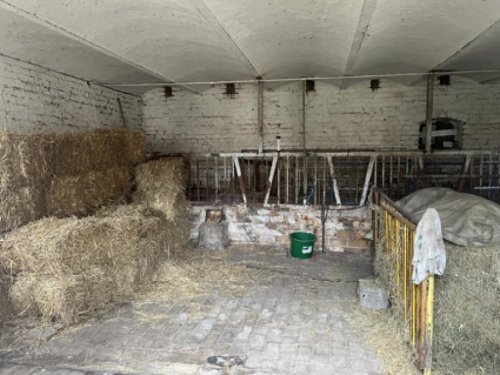 Finsterwalde Gewerbe Immobilien Bauernhof mit landwirtschaftlicher Fläche Gewerbe kaufen