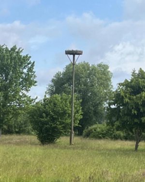 Finsterwalde Gewerbe Bauernhof mit landwirtschaftlicher Fläche Gewerbe kaufen