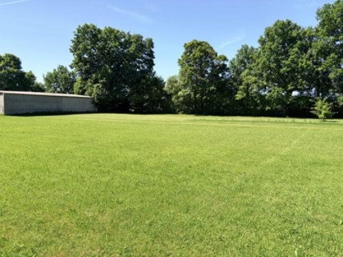 Doberlug-Kirchhain Immobilien Kaum noch zu finden - 4-Seiten-Hof mit Wald und Feld Haus kaufen