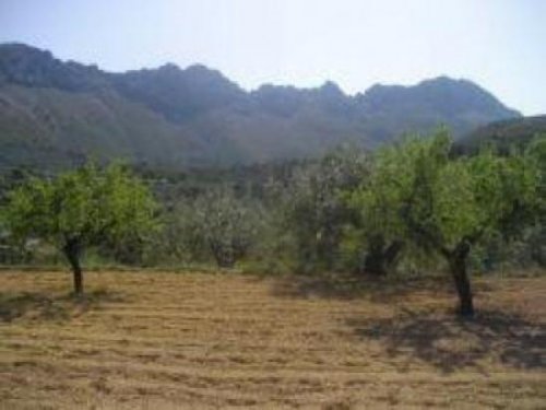 Benissa Immobilien Baugrundstück als Kapitalanlage in Benissa Spanien Grundstück kaufen