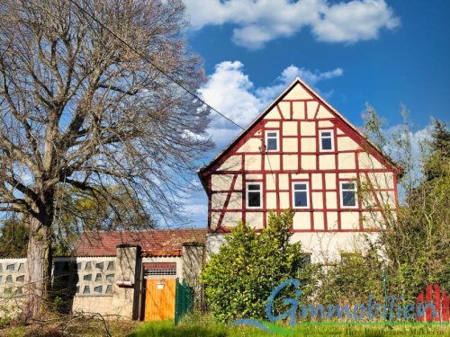 Borna Inserate von Häusern Traumhaftes Fachwerkhaus mit großzügigem Hof - Wohnen und Leben auf 330 m² in idyllischer Seenähe Haus kaufen
