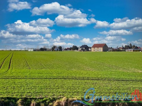 Otterwisch Günstiges Haus Entfaltung der Träume: Ein Zuhause mit Fernblick und großem Ausbau-Potenzial Haus kaufen