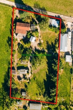 Schildau (Gneisenaustadt) Immobilien Gepflegter Massiv-Bungalow mit traumhaftem Wintergarten & XL Grundstück Haus kaufen