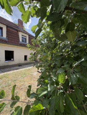 Herzberg (Elster) Haus Wohnen auf dem Dorf ... Haus kaufen