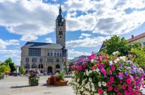 Dessau-Roßlau Immobilien "Ferienensemble in Dessau‑Waldersee - laufender Betrieb, volle Auslastung, Cashflow ab Tag 1" Haus kaufen