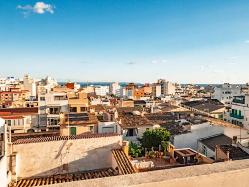 Palma de Mallorca Immobilien Grosszügiges, renoviertes 4 Zimmer Apartment in guter Gegend von Palma Wohnung kaufen