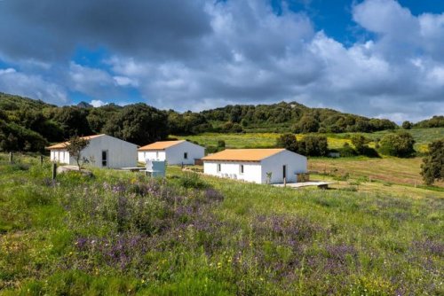 Luogosanto Immobilien 3 Häuser, Pool, Ruhe, Meerblick, 5 Hektar, Luogosanto Haus kaufen