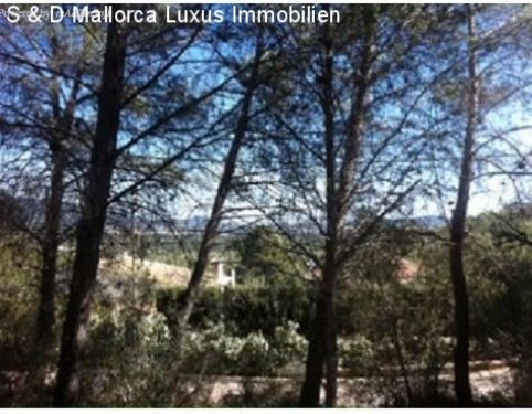 Esporles Wohnungen Baugrundstück in Esporles zu verkaufen Grundstück kaufen