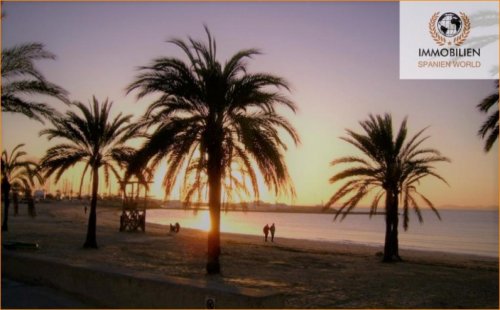 Llucmajor / s'Arenal Wohnungen Wohnung mit Potenzial in El Arenal!! In der Nähe von Balneario 2 Wohnung kaufen