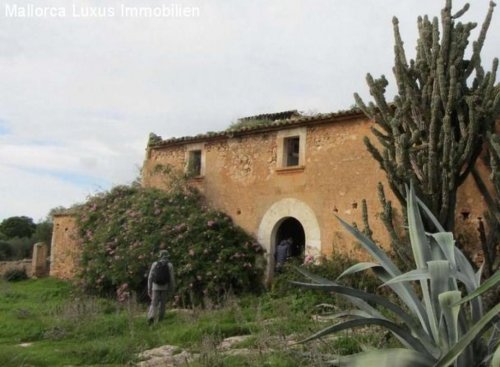 Llucmajor Mietwohnungen Grundstück direkt am Meer mit Bebauungsmöglichkeit eines Landhotels Gewerbe kaufen